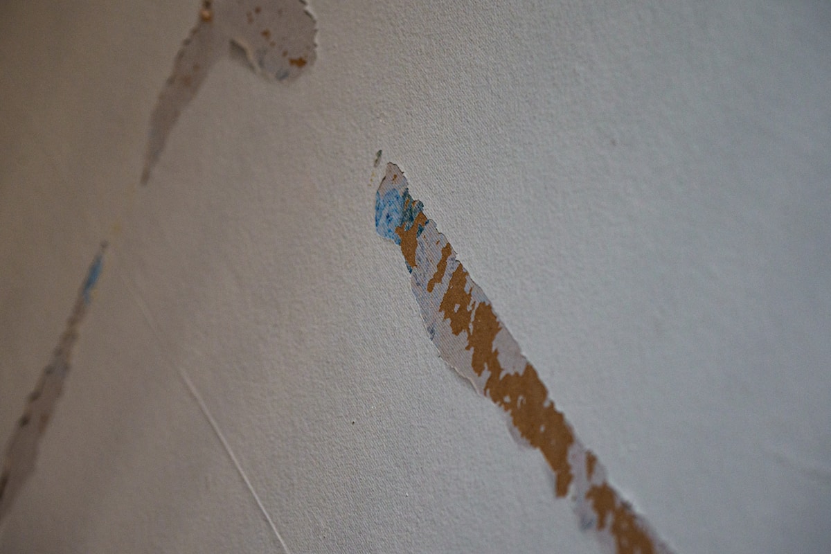 Basement Water Removal service in Bristol, TN